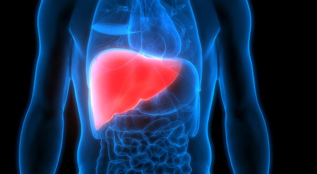 hepatitis hepatitis