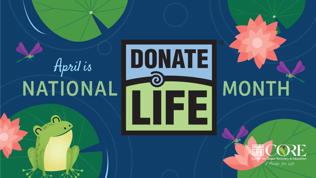 NDLM graphic