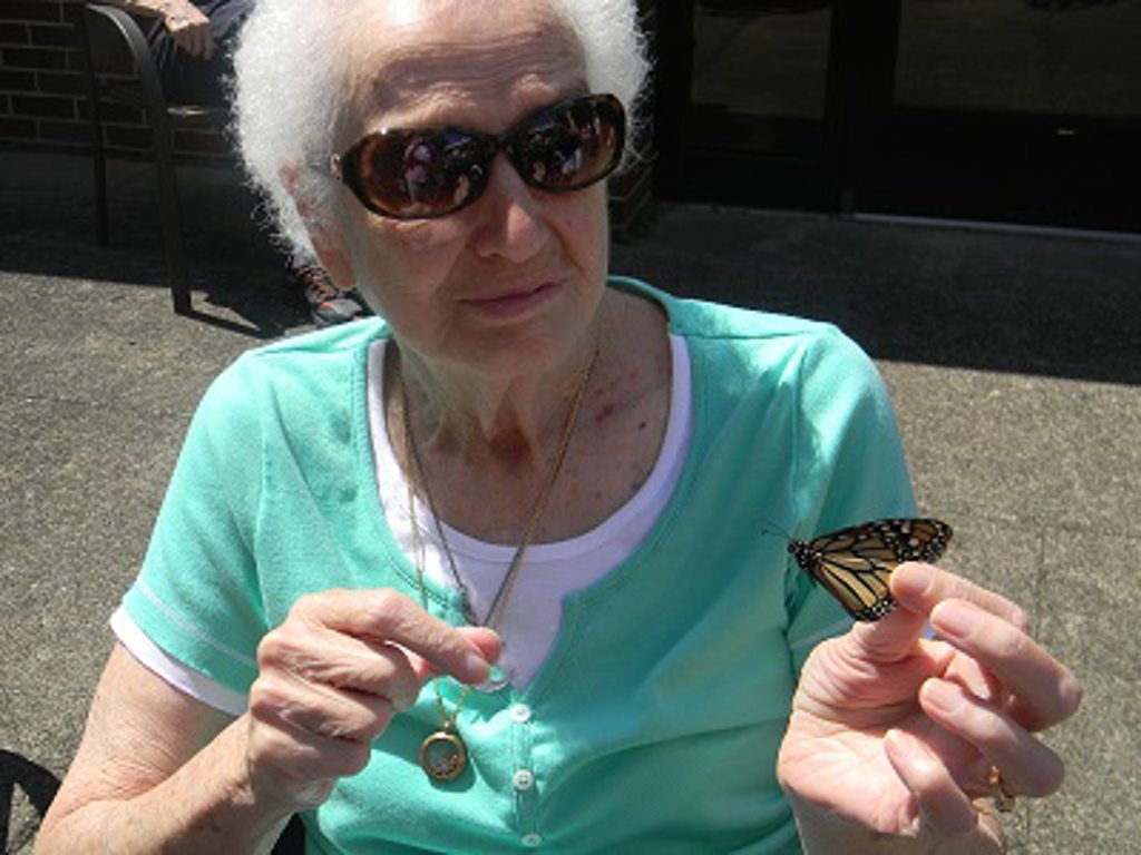 cni butterfly release 2016