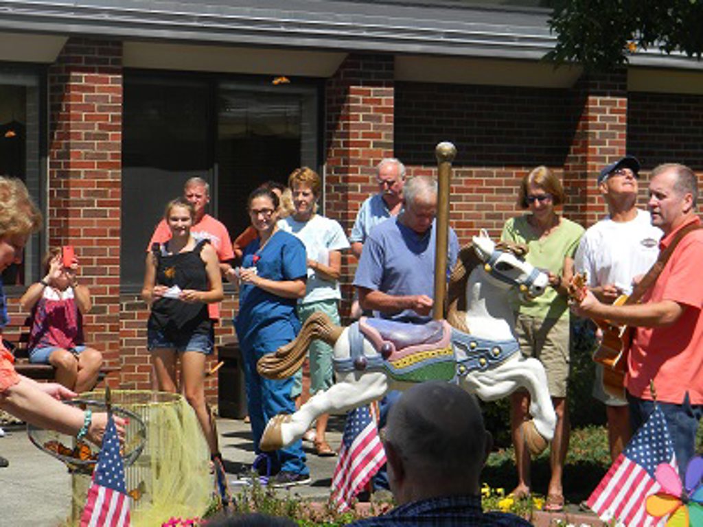 cni butterfly release 2016