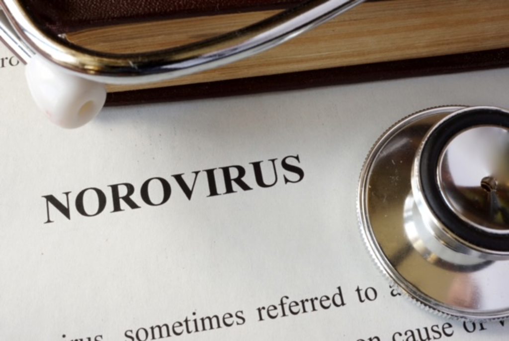 norovirus