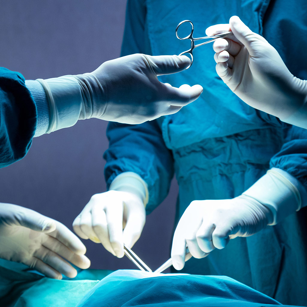 Surgical Services Photo